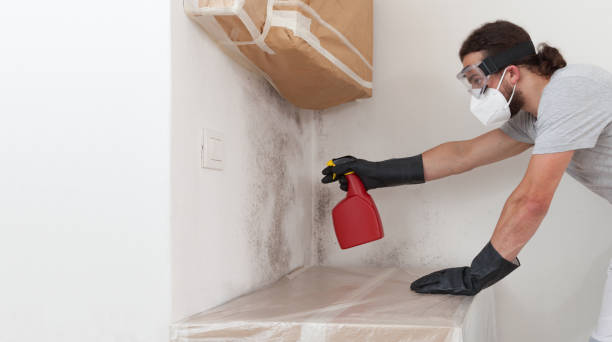 Professional Basement Mold Remediation technician working in Ocean Beach, NY